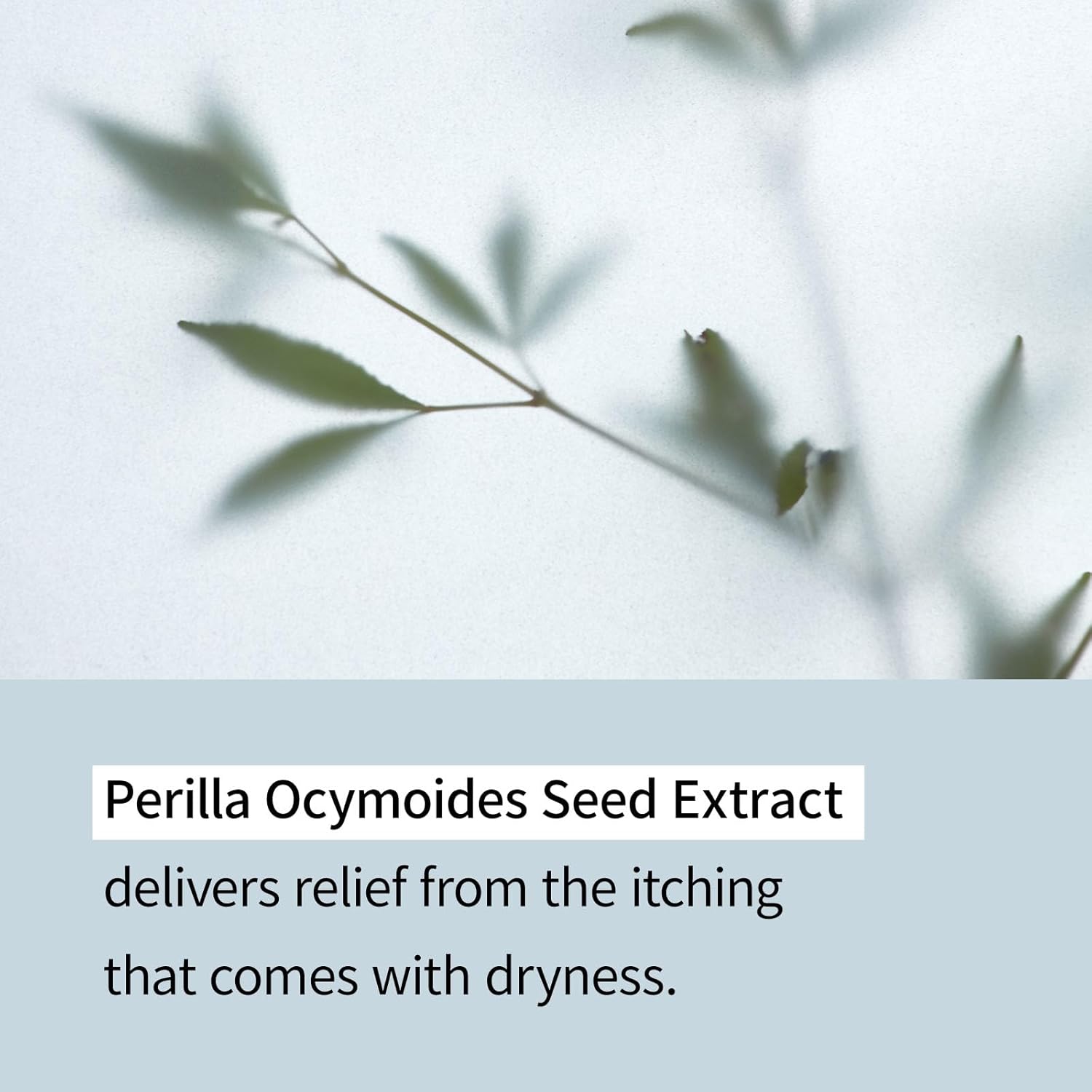 ILLIYOON Ceramide Ato Concentrate Cream Moisturizer